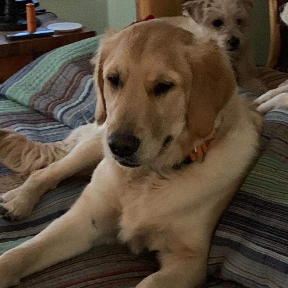 Meet your Posher, Lynn